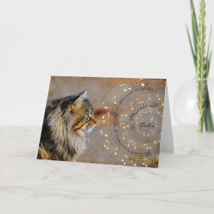 Muziek & Katten Kaart