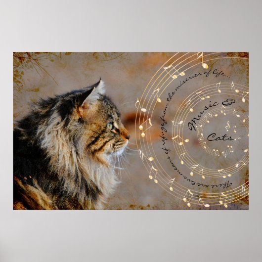 Muziek & katten - Kunstafdrukken Poster (Voorkant)