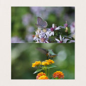 Muziek naar de ziel visitekaartje (Binnenkant ongevouwen)