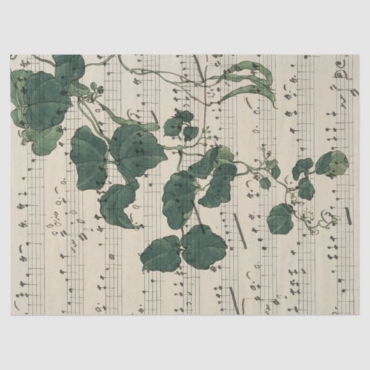 Muziek op  vellen laat afstotend papier (Voorkant)