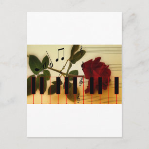 Muziek Piano Keys Notities Docent Rozen Instrument