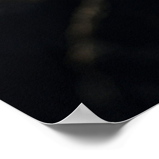 Muziek van het leven - Treble Clef Plant op een Ro Poster (Hoek)