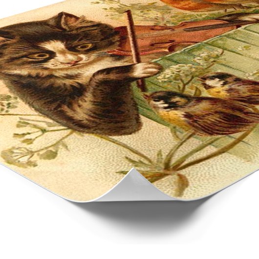 Muziek voor vogels, katten en vogels poster (Hoek)