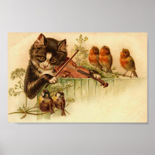 Muziek voor vogels, katten en vogels poster