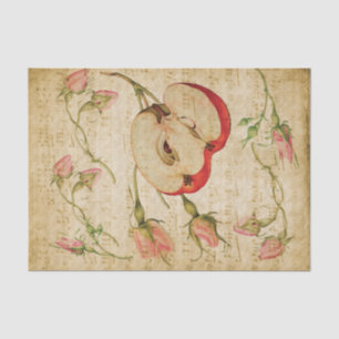  muziekblad met Frans Roos en Apple Tissuepapier