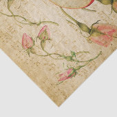  muziekblad met Frans Roos en Apple Tissuepapier (Detail)