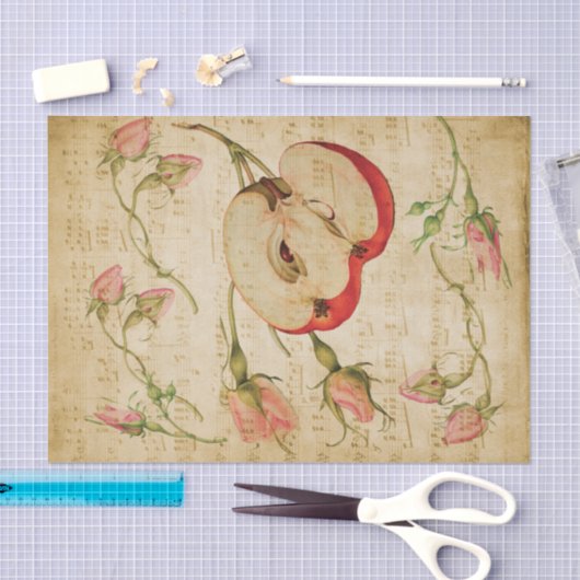  muziekblad met Frans Roos en Apple Tissuepapier (Craft)