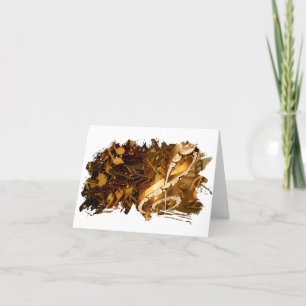 Muziekgetouwen en vallende noten feestdagen kaart