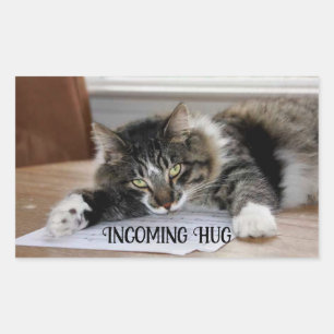 Muziekkat Inkomende Stickers
