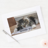 Muziekkat Inkomende Stickers (Envelop)