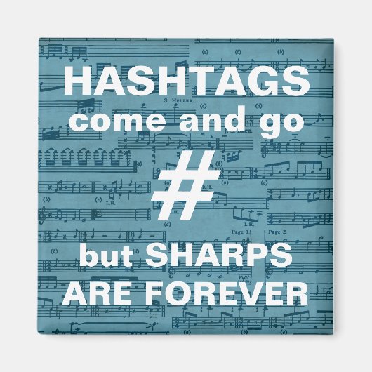 Muziekleraar Gift, grappig citaat, muziekopnames Magneet (Voorkant)