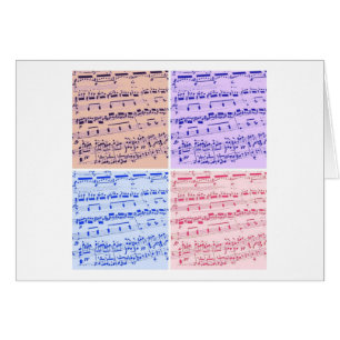 Muziekmajoor/student/leraar