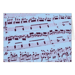 Muziekmajoor/student/leraar