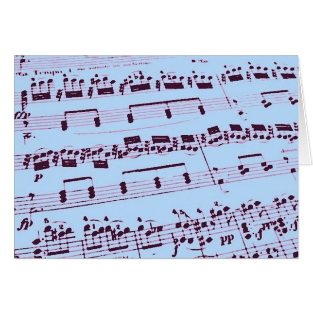 Muziekmajoor/student/leraar (Voorkant Horizontaal)