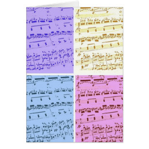 Muziekmajoor/student/leraar