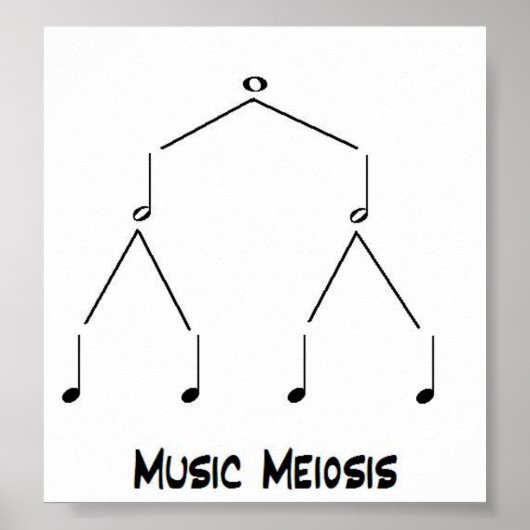 Muziekmeiose Poster (Voorkant)