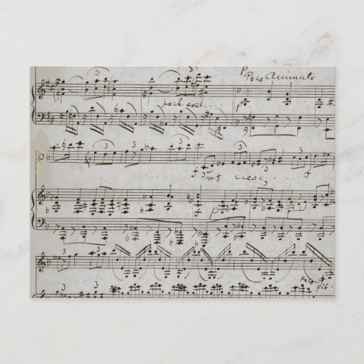 Muzieknotatie  Bladmuziek Briefkaart (Voorkant)