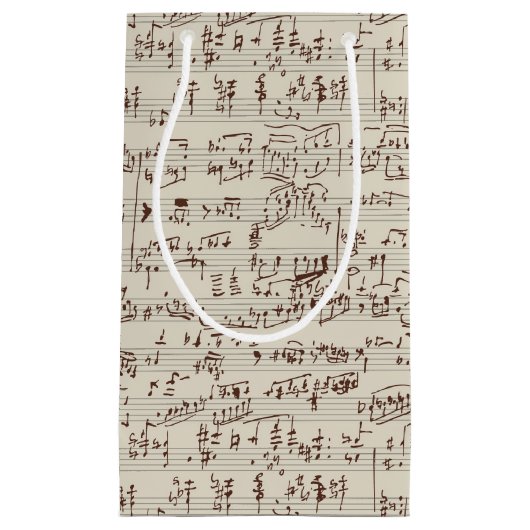 Muzieknoten Klein Cadeauzakje (Voorkant)