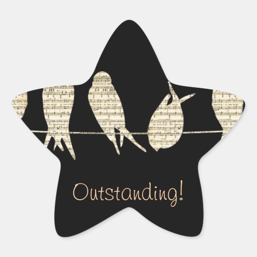 Muzieknoten Leraar Kantoor Dierlijke Vogelbestemmi Ster Sticker (Voorkant)