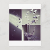 Muzieknoten Origami Crane Mobile Briefkaart (Voorkant)