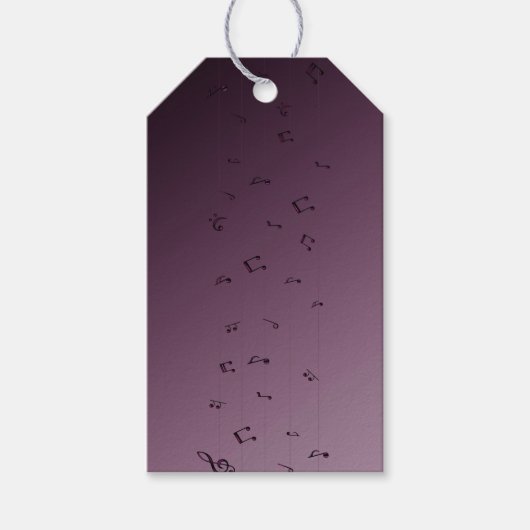 Muzieknoten Paarse Cadeautags Cadeaulabel (Voorkant)