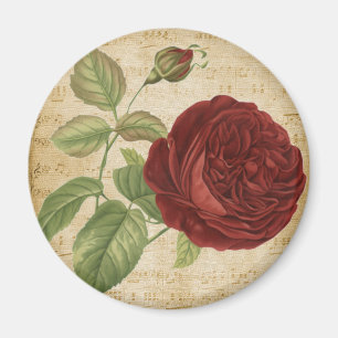 Muzieknoten Perkament Rode Rozen Roos Vintage Magneet