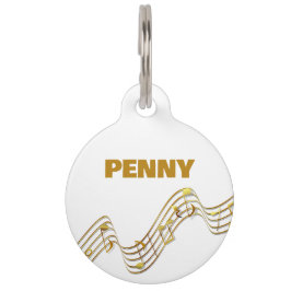 Muzieknoten rondom pakkettag huisdierpenning