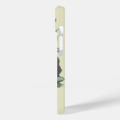  muziektijdschrift Hoesje Art, Etude Frog Choir (Achterkant / Links)