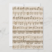  muziekvel Baby Shower-uitnodigingen Kaart (Achterkant)