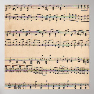 muziekvel — zwart-witnotities poster