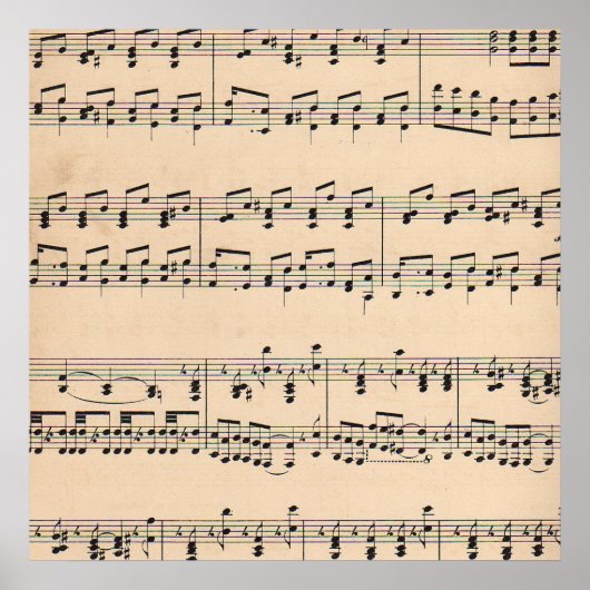  muziekvel — zwart-witnotities poster (Voorkant)