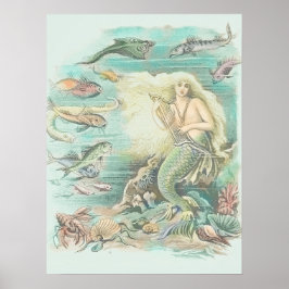  muziekzeemeermin onder Zee Poster