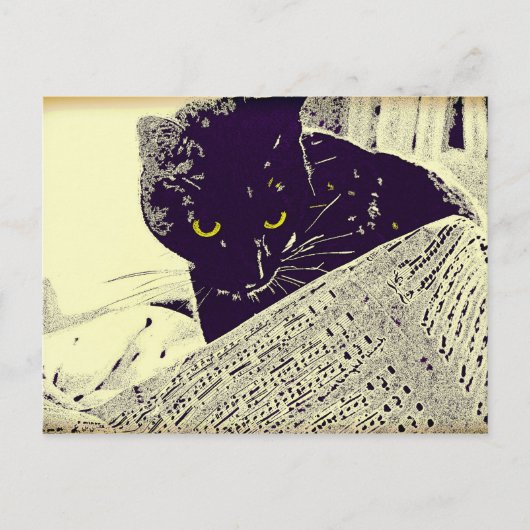 Muzikale kat - Briefkaart (Voorkant)