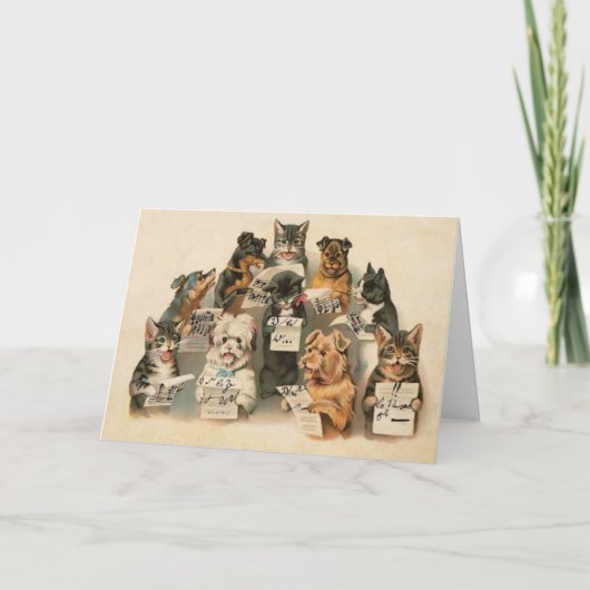  Muzikale Katten Honden Dagelijks Wenskaart Feestdagen Kaart (Voorkant)