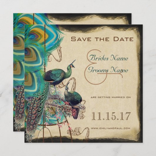 Muzikale Pauw Vogelkooi Liefdesvogels Save the Dat Kaart (Voorkant / Achterkant)