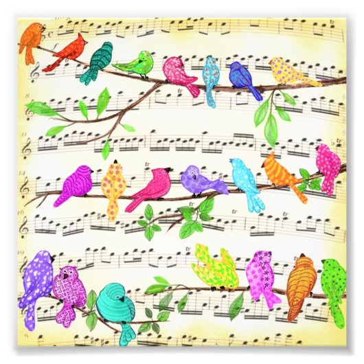 Muzikale Vogels Poster (Voorkant)