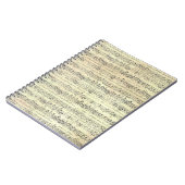 Muzikant met  muziekopnames notitieboek (Linkerzijde)