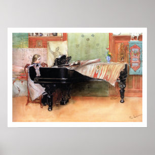 muzikant poster