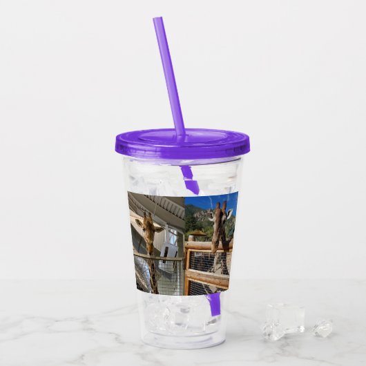 Muziki Laikipia Tumbler Acryl Drinkbeker (Voorkant ijs)