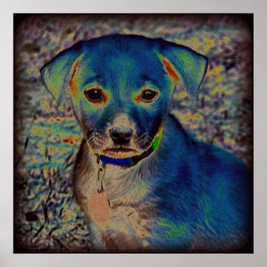 MVB Labrador Poster - Psychedelic Design (Voorkant)