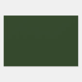 MVB Mistletoe Foliage Design Inpakpapier Vel (Voorkant 3)