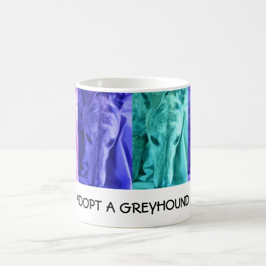 MX4 NEEMT EEN GREYHOUNDE Mok AAN (Center)