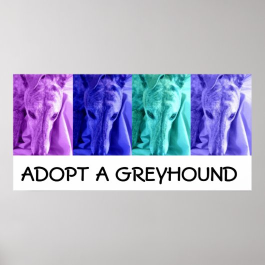 Mx4 Vaststellen een Poster van Greyhound (Voorkant)