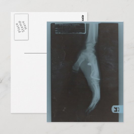 MY22BULLET BRIEFKAART (Voorkant / Achterkant)