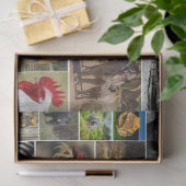 "My Animal Kingdom" Wild Animal Tissue Paper Tissuepapier (Geschenk)