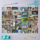 "My Animal Kingdom" Wild Animal Tissue Paper Tissuepapier (Craft)