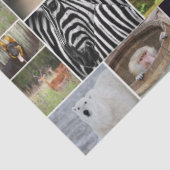 "My Animal Kingdom" Wild Animal Tissue Paper Tissuepapier (Detail)