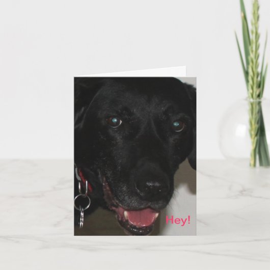 My Black Lab Thank You Card Kaart (Voorkant)