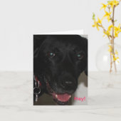 My Black Lab Thank You Card Kaart (Gele Bloem)