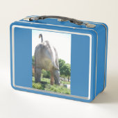 My Brontosaurs Dinosaur (Achterkant)